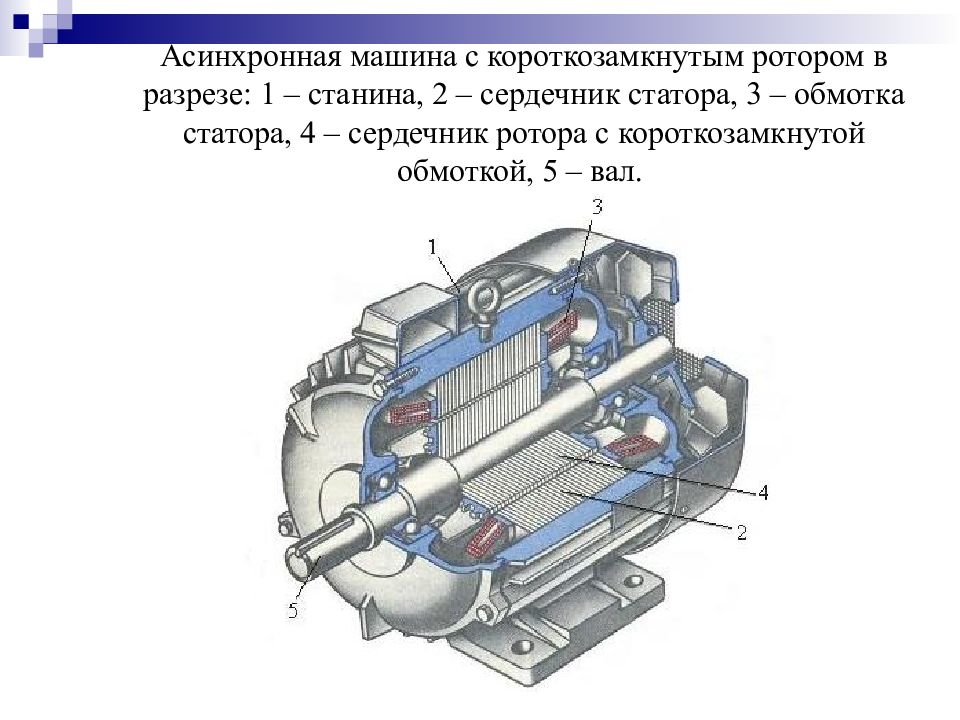 Асинхронный двигатель с короткозамкнутым ротором презентация