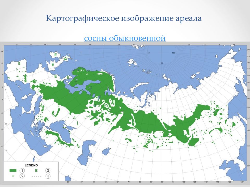 3 наиболее точной методикой изображения ареала является