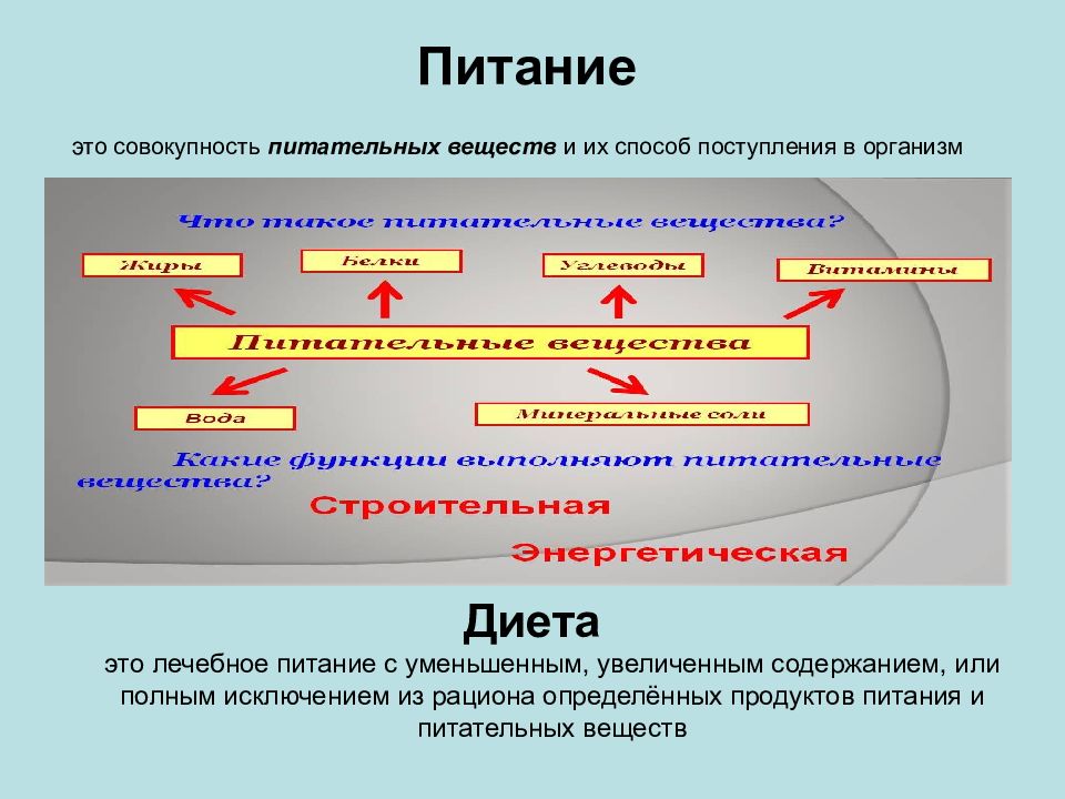 Обмен веществ и энергии питание презентация