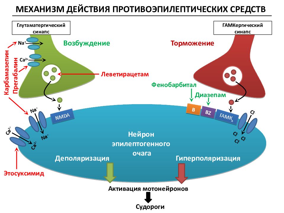 Противоэпилептические препараты презентация