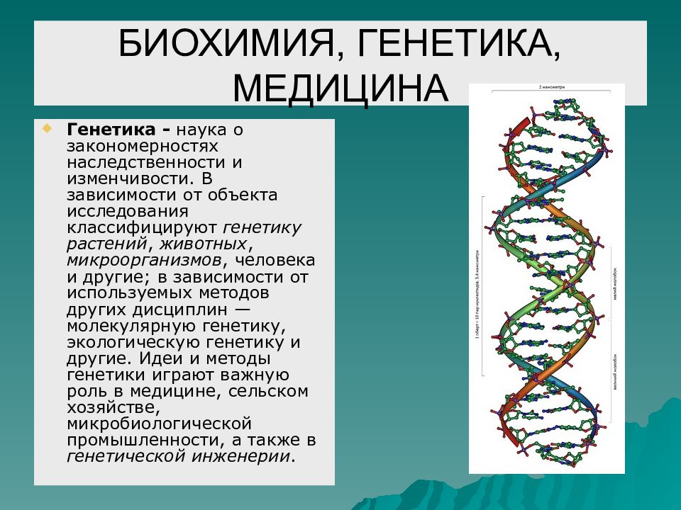 Урок генетика наука о наследственности и изменчивости. Генетика в медицине. Генетика это наука о. Биохимия, генетика, медицина. Генетика человека генетика и медицина.