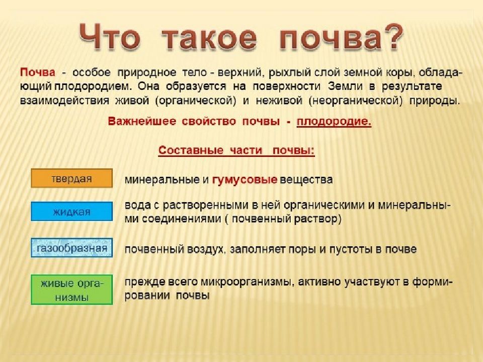 Почвы