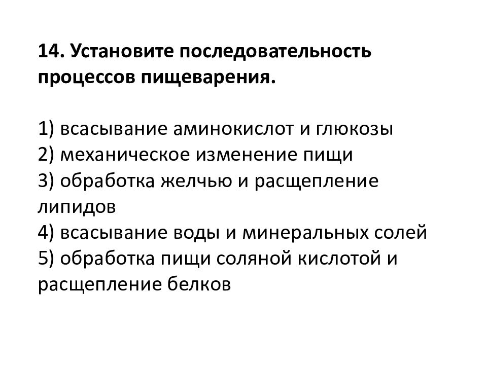 Установите правильную последовательность процессов