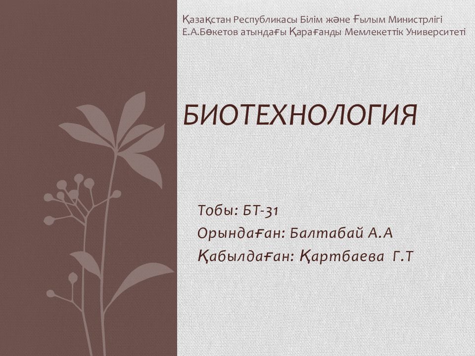 Биотехнология