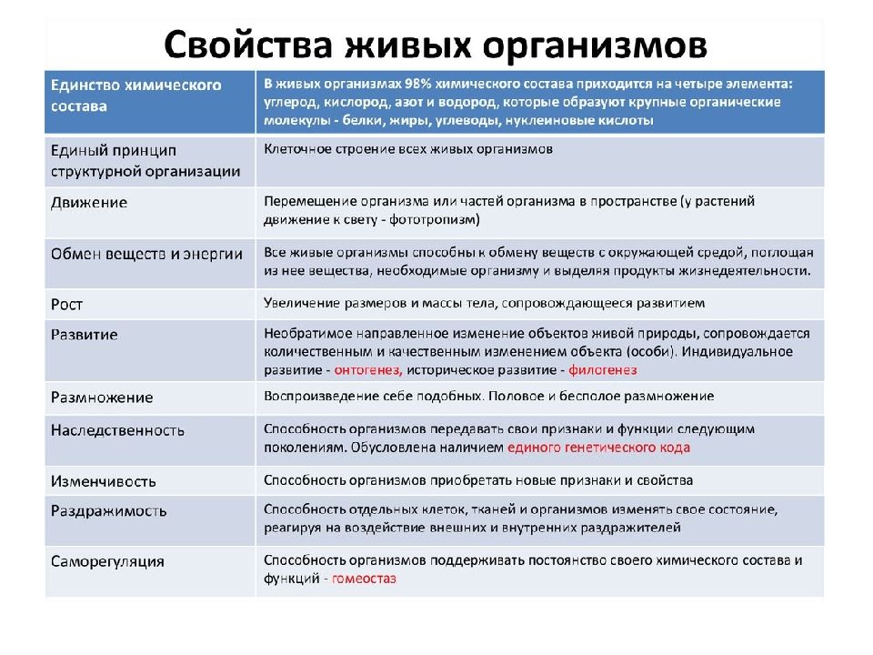 Индивидуальный проект 10 класс биология образец