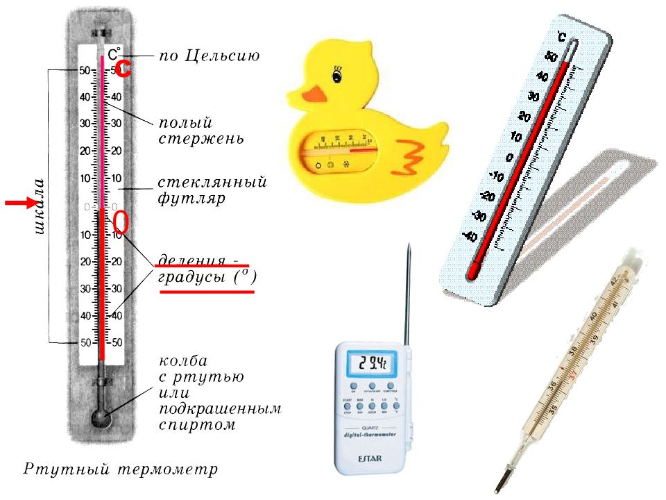 Презентация на тему термометр