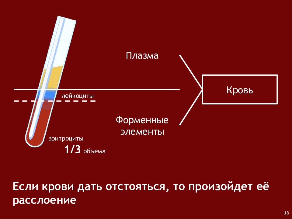 Плазма крови презентация