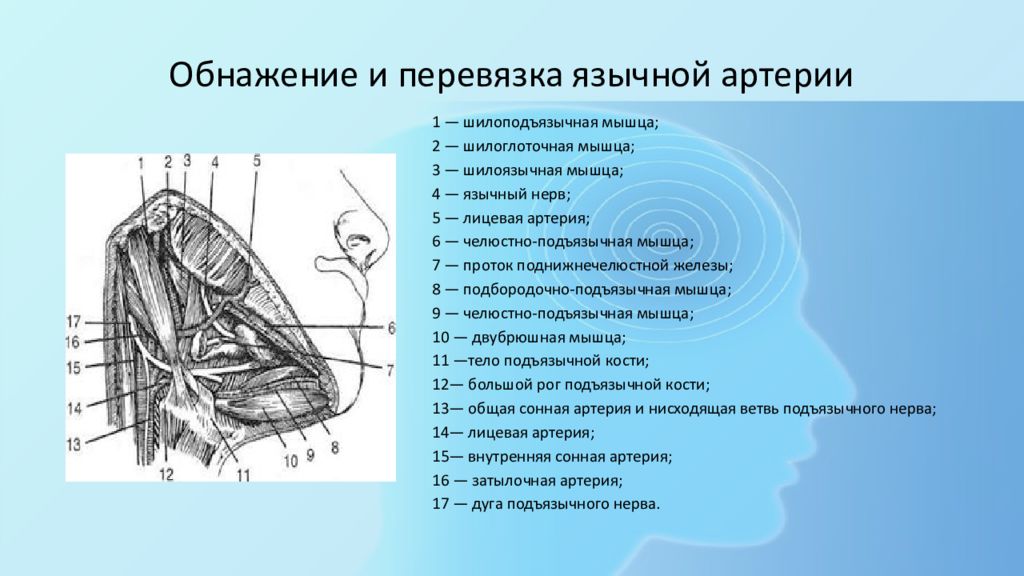 Топографическая анатомия и оперативная хирургия шеи презентация