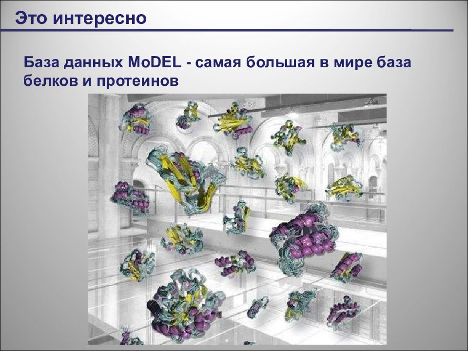 Представление об организации баз данных и системах управления ими презентация