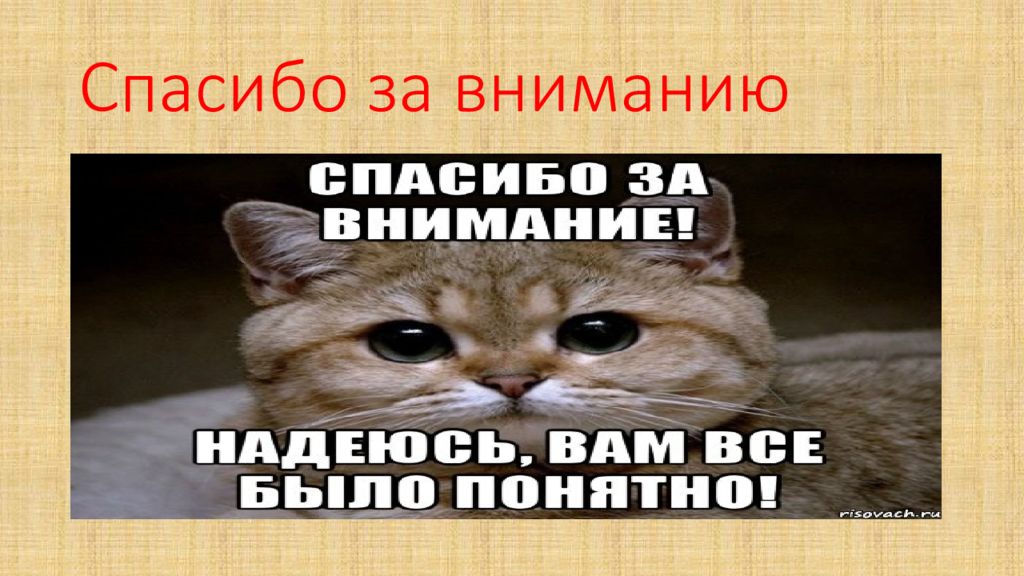 Надпись спасибо за внимание для презентации смешное