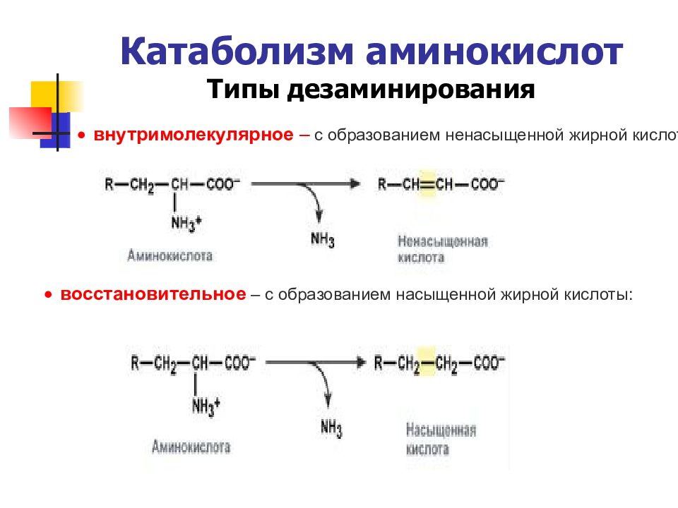 В результате дезаминирования образуется. Схемы реакций декарбоксилирования аминокислот. Трансаминирование и дезаминирование аминокислот. Типы дезаминирования аминокислот биохимия. Дезаминирование аминокислот биохимия реакции.