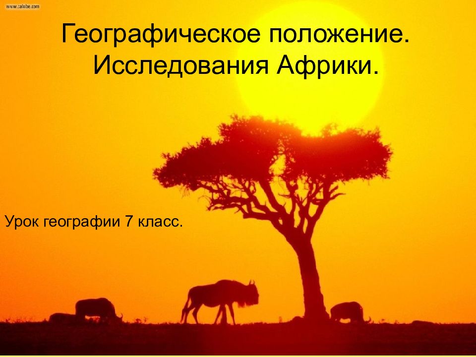Географическое положение. Исследования Африки. Урок географии 7 класс.