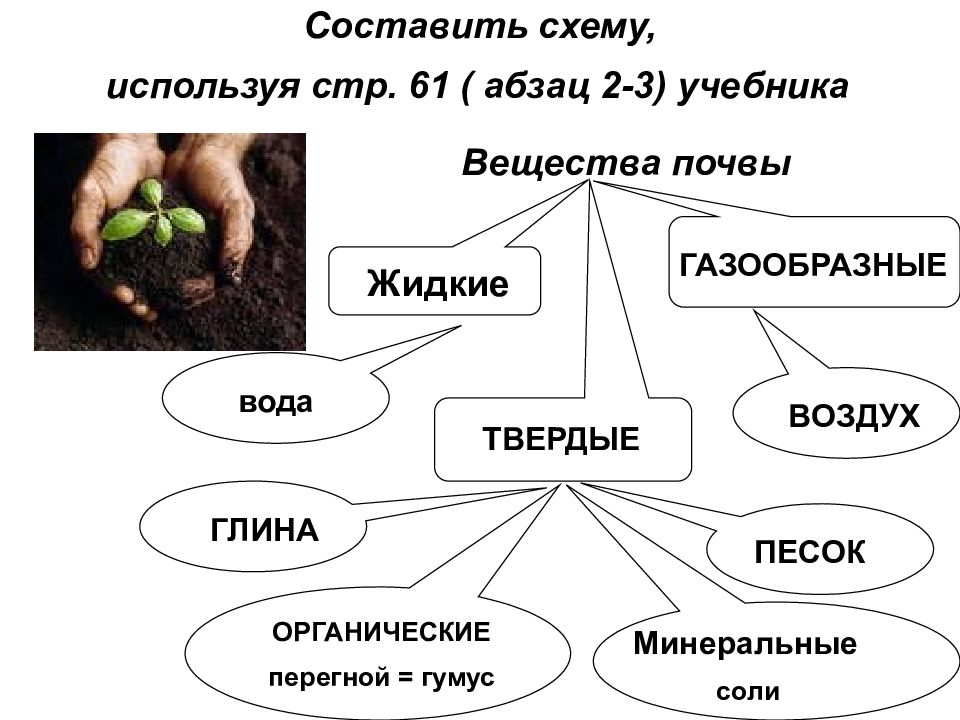 Используя сведения из учебника впишите в схемы названия животных которые питаются комарами и их