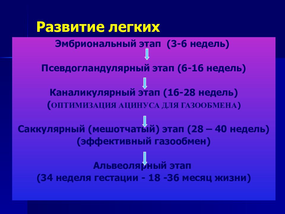 Онтогенез дыхательной системы презентация