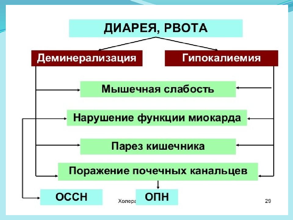 Современные аспекты. Холера современные аспекты.