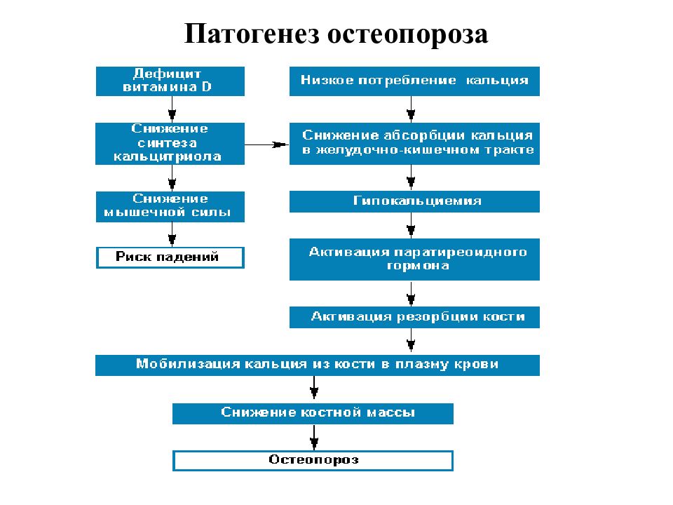 Схема патогенеза рахита