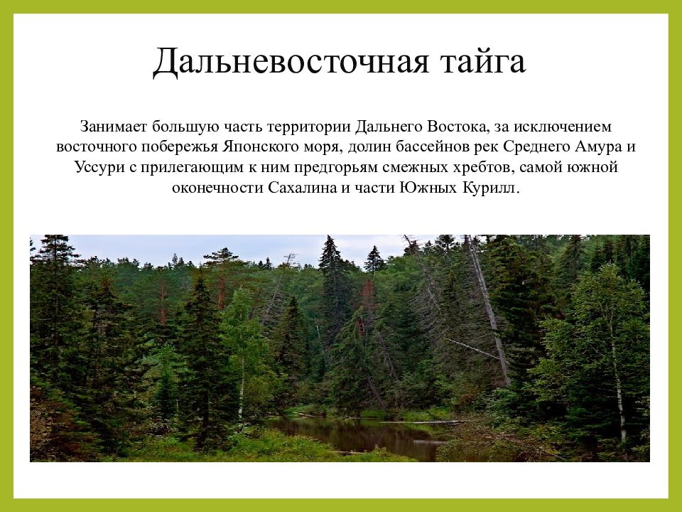 Презентация на тему природные зоны россии тайга