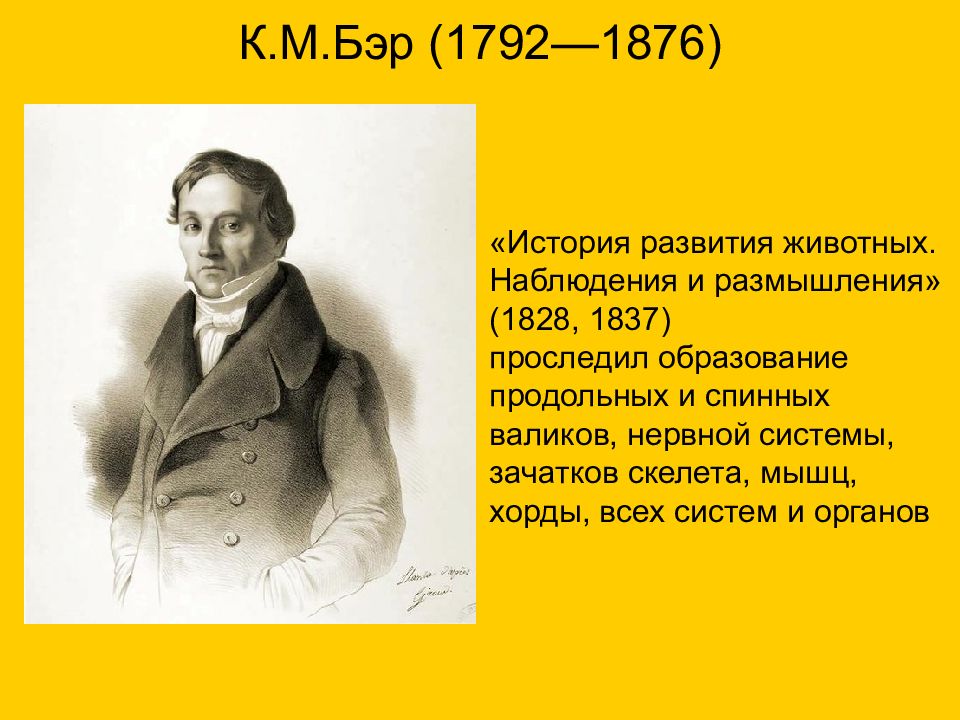 Бэр это. К.М.Бэр (1792-1876). К М Бэр 1828. К. Бэр (1876). Бэр к. м. история развития животных.