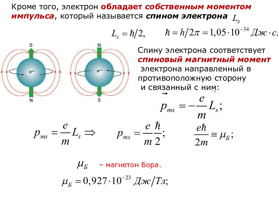 Магнитное поле магнитного момента атома