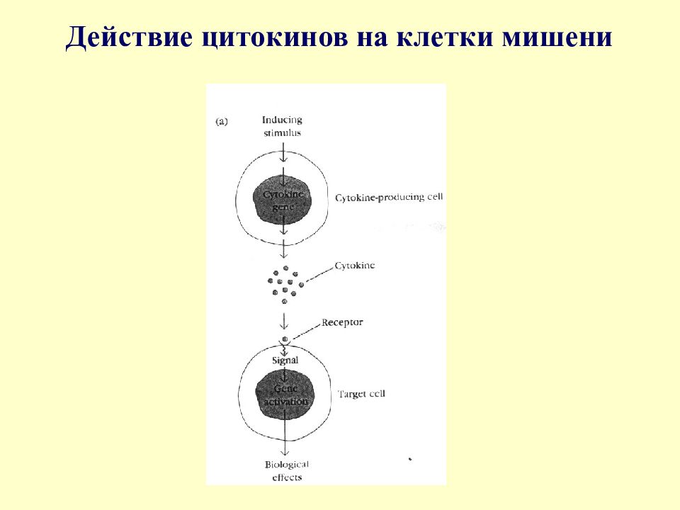 Мой ход на клетку 9