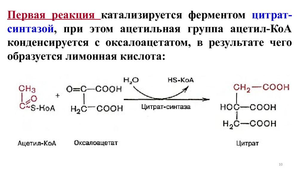Гидролазы реакции. Оксалоацетат ацетил-КОА цитрат. Оксалоацетат в цитрат реакция. Синтез лимонной кислоты реакция. Оксалоацетат в лимонную кислоту.