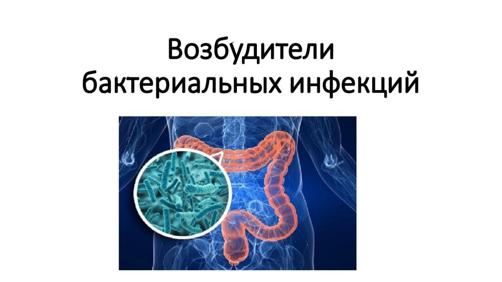 Возбудители бактериальных