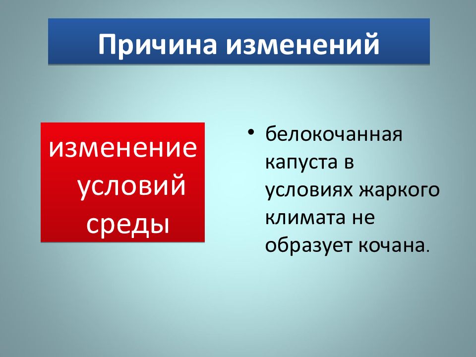 Причины изменения ледовитости. Причины изменений. Предпосылки изменений. Причины изменения моды. Об изменении или о изменении.