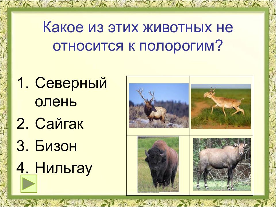 Какой группе животных относятся. Отметь какое из животных не зверь. Кто относится к полорогим. Тест презентация животные 4 класс.