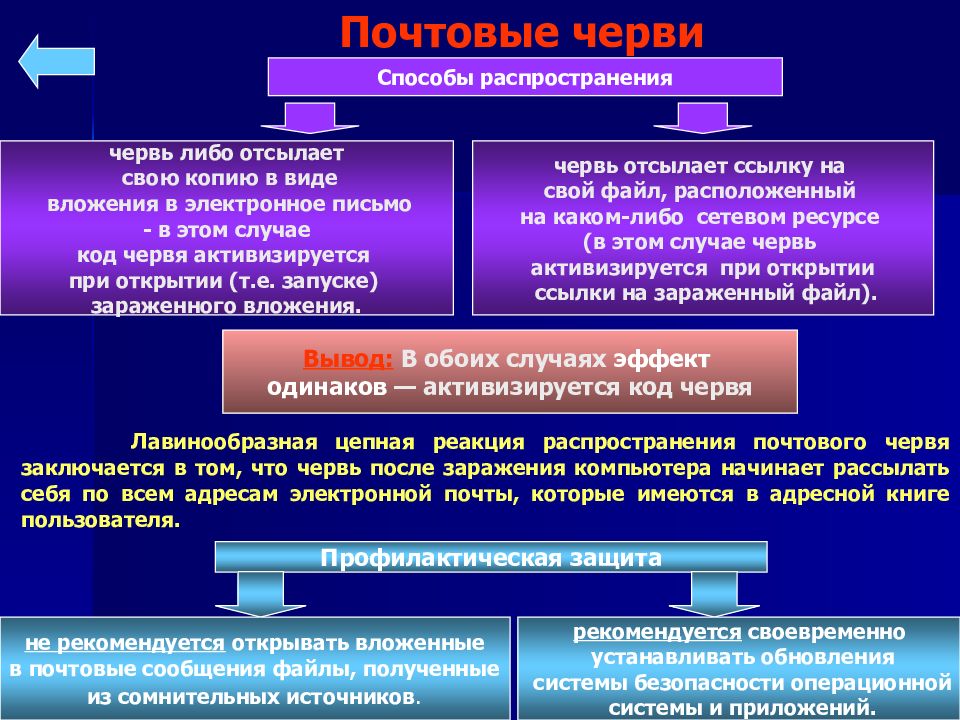 Сетевой червь презентация