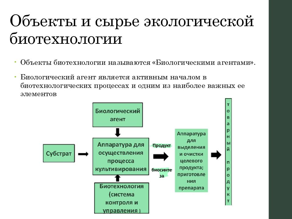 Проблемы биотехнологии в экологическом плане