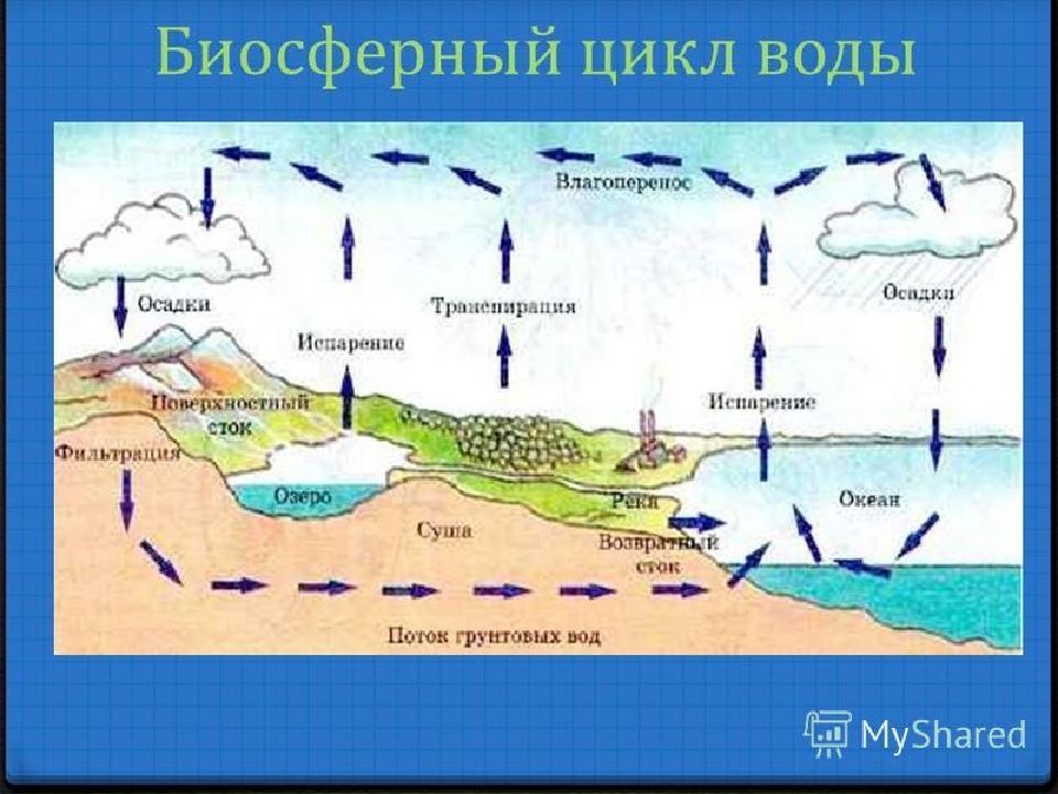 Цикл воды в организме. Биохимический цикл воды схема. Биохимический цикл воды в природе. Цикл круговорота воды. Биосферные цикл воды.
