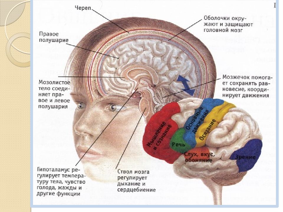 Начинать головной