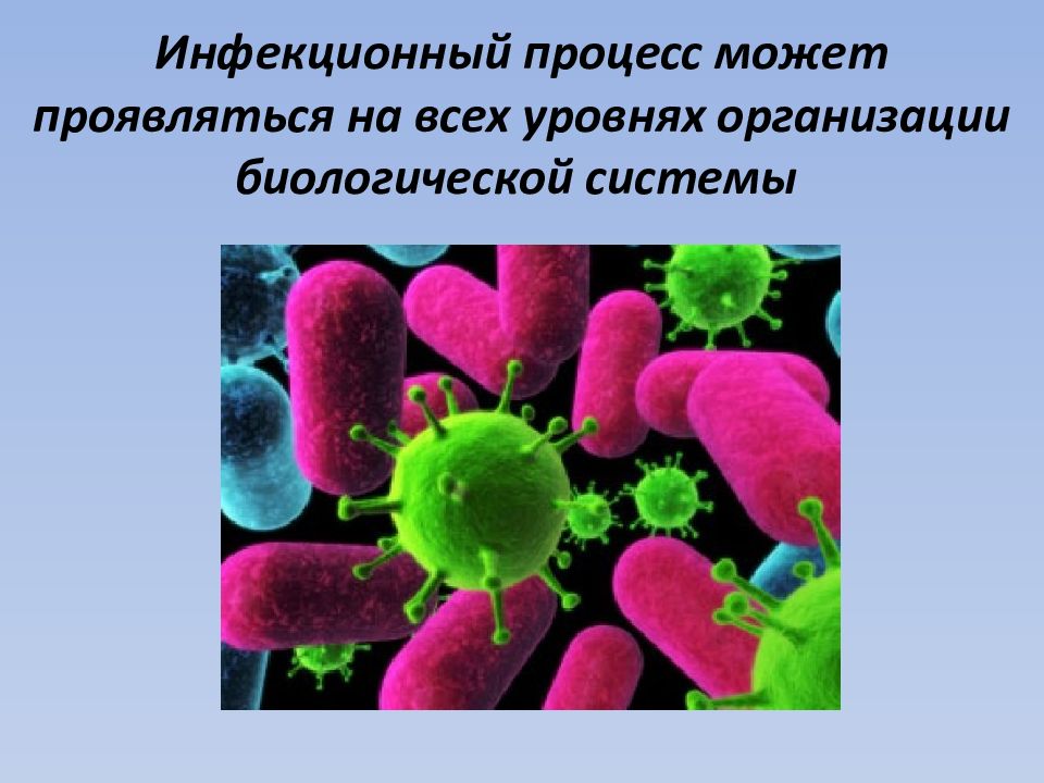 Инфекционный процесс. Инфекция и инфекционный процесс. Процессы инфекционного процесса. Возникновение инфекции.