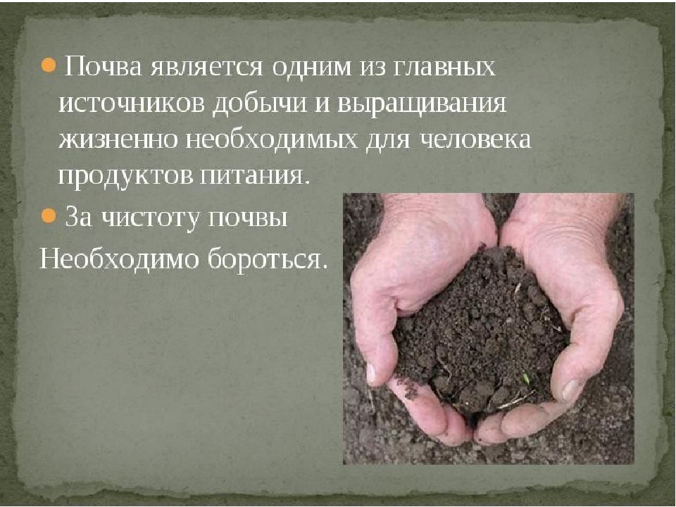 Заботящаяся почва. Почва презентация. Презентация на тему почва. Доклад про почву. Почва картинки для презентации.