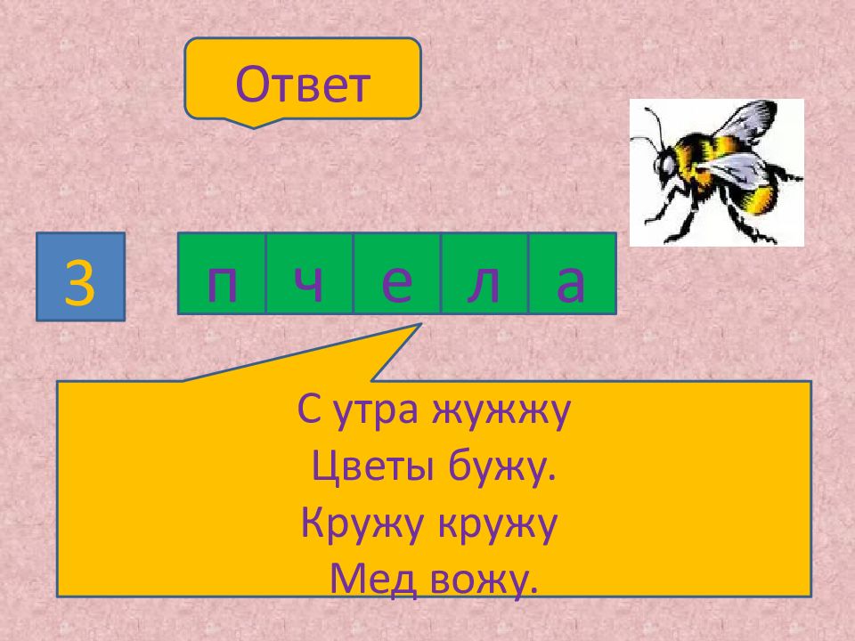 П ч е л а. С утра жужжу цветы бужу кружу. С утра жужжу цветы бужу кружу жу жу и мед вожу. Насекомое способное откладывать яйца в движущуюся жертву кроссворд. С утра жужжит цветы будет кружит Жудит и мед возит.