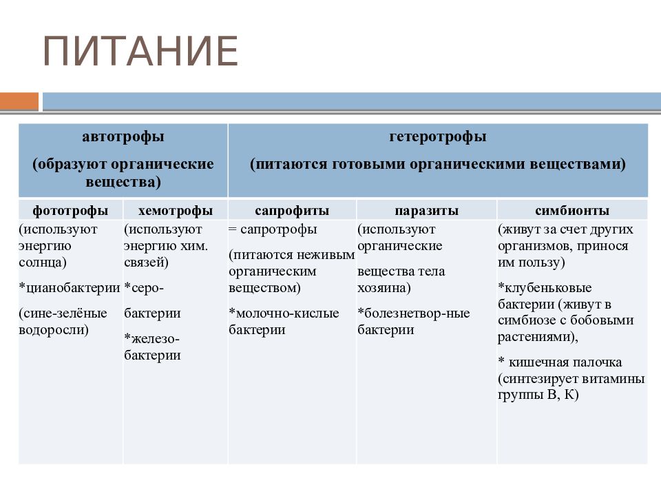 Автотрофное питание. Дрожжи автотрофы или гетеротрофы. Царство автотрофов и гетеротрофов. Дрожжи Тип питания автотрофный или гетеротрофный. Питание бактерий автотрофы и гетеротрофы.