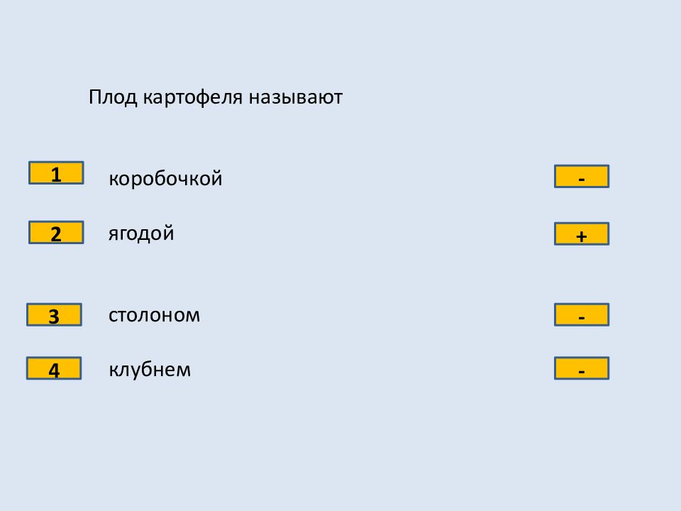 Презентация 6 класс тест