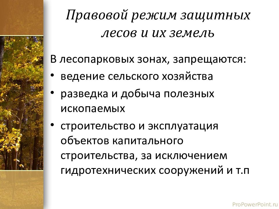 Объекты капитального строительства на землях лесного фонда. Земли лесного фонда презентация. Правовой режим земель лесного фонда. Особенности правового режима земель лесного фонда. Правовой режим земель лесного фонда кратко.