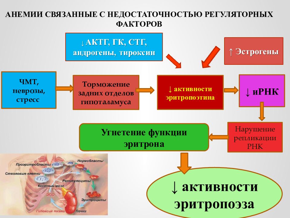 Стресс патофизиология презентация