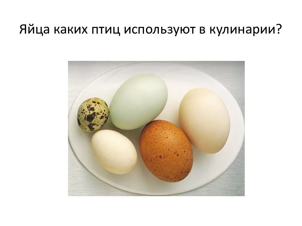 Яйца и яйца продукты презентация