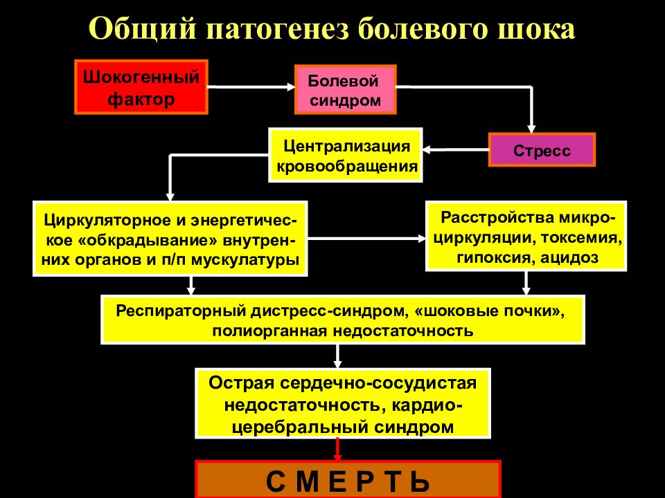 Патогенез фото для презентации. Общий патогенез шока. Патогенез целлюлита. Патогенез картинки для презентации.