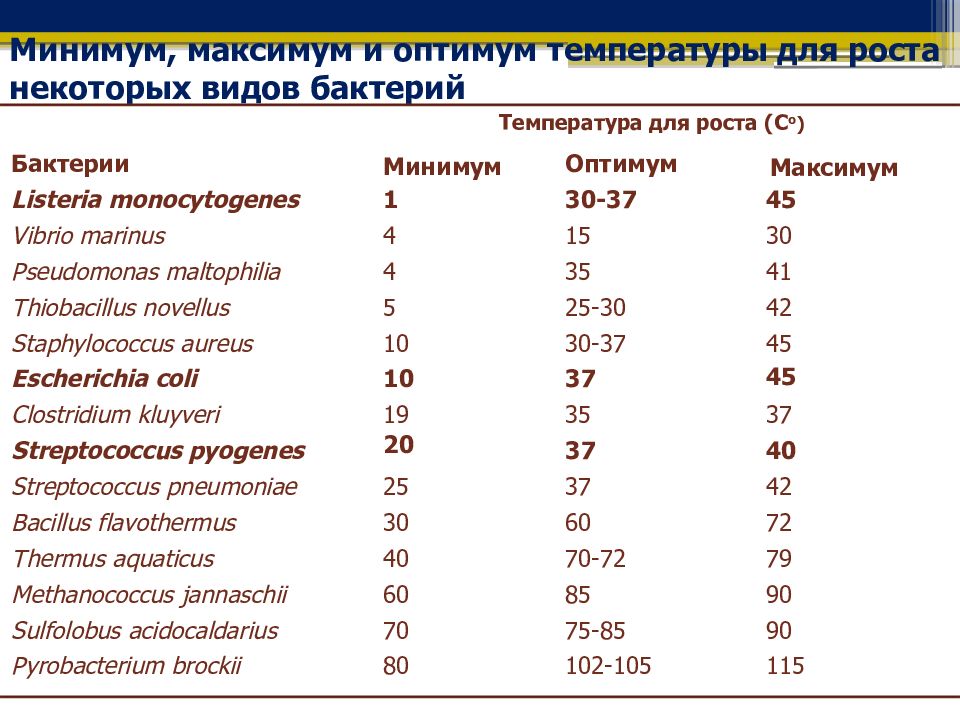 Бактериальная температура. Минимальная температура для бактерий. Минимум максимум Оптимум. Оптимум температур для микроорганизмов. Оптимум температуры для бактерий.