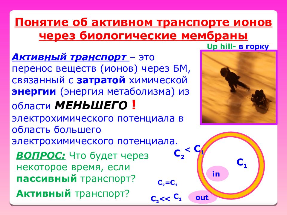 Понятие активно. Понятие об активном транспорте ионов через биологические мембраны. Активный перенос ионов через мембраны. Перенос ионов через мембрану. Понятие активного транспорта.