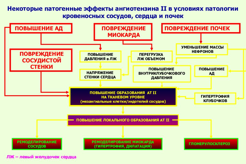 Виды воспаления патофизиология