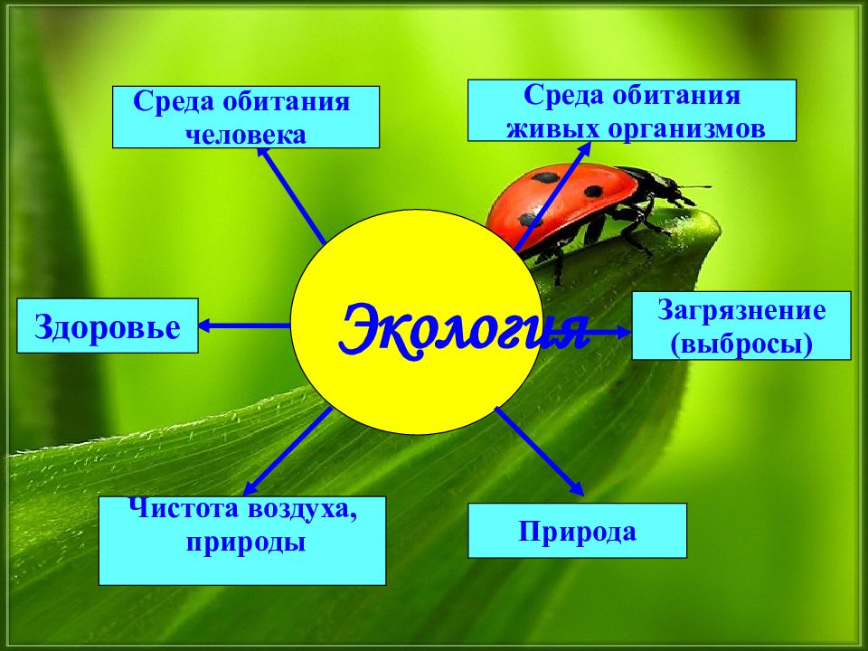 Презентация по географии 8 класс экология и здоровье человека