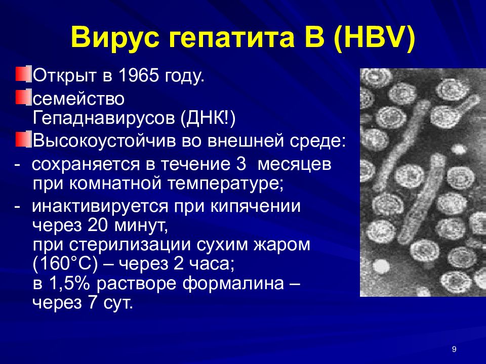 Презентация вирусный гепатит в