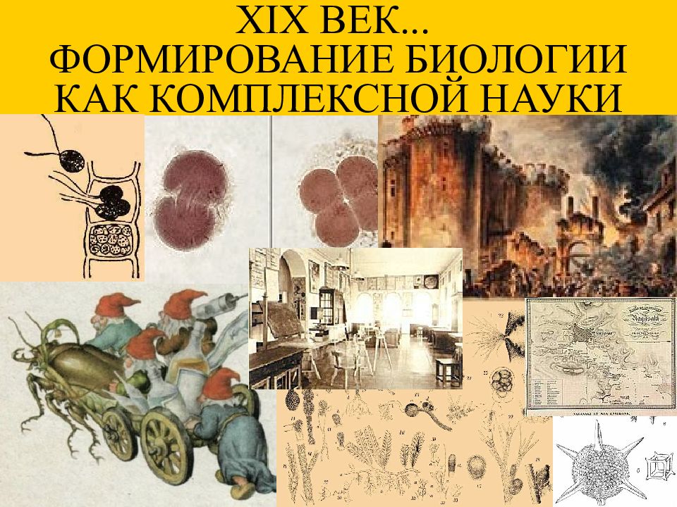 Презентация xix век