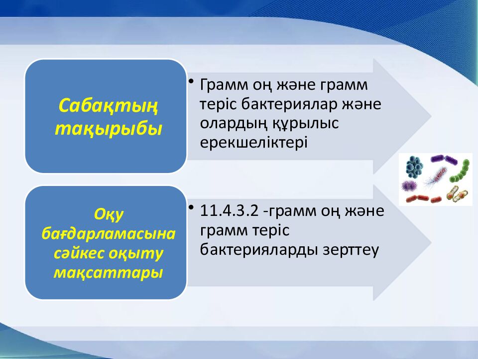 Сагымбаева Гульнур Жанузаковна №32 мектеп-гимназиясы б иология
