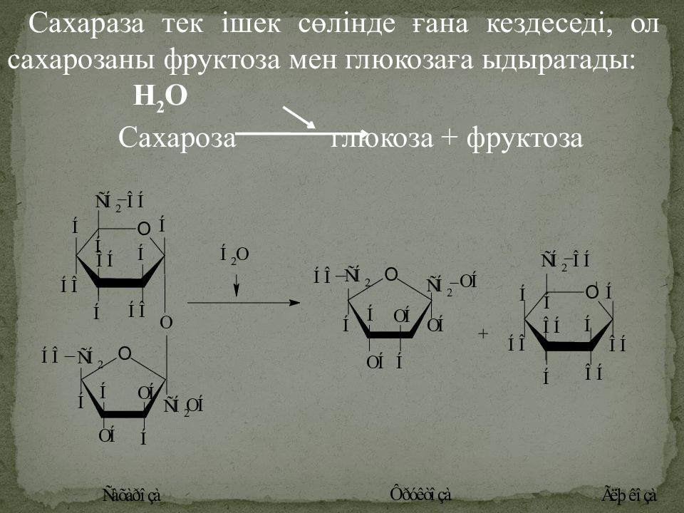 Фермент сахараза. Сахараза. Сахараза гидролизует связи. Связь ферментов сахараза. Сахаразо-изомальтазный комплекс катализирует реакции гидролиза .....