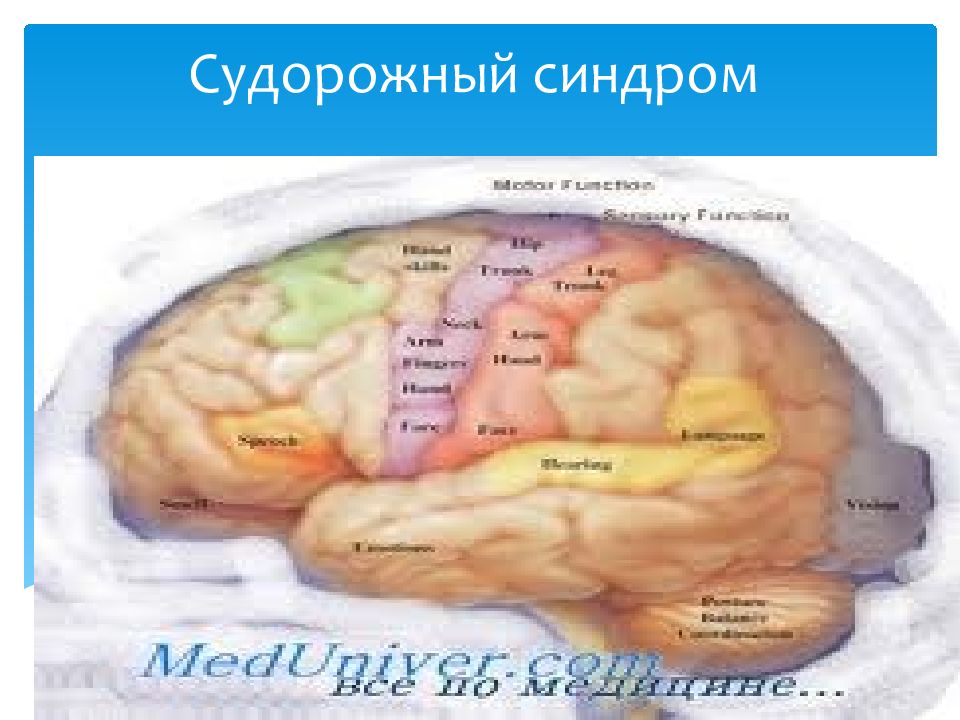 Судорожный синдром